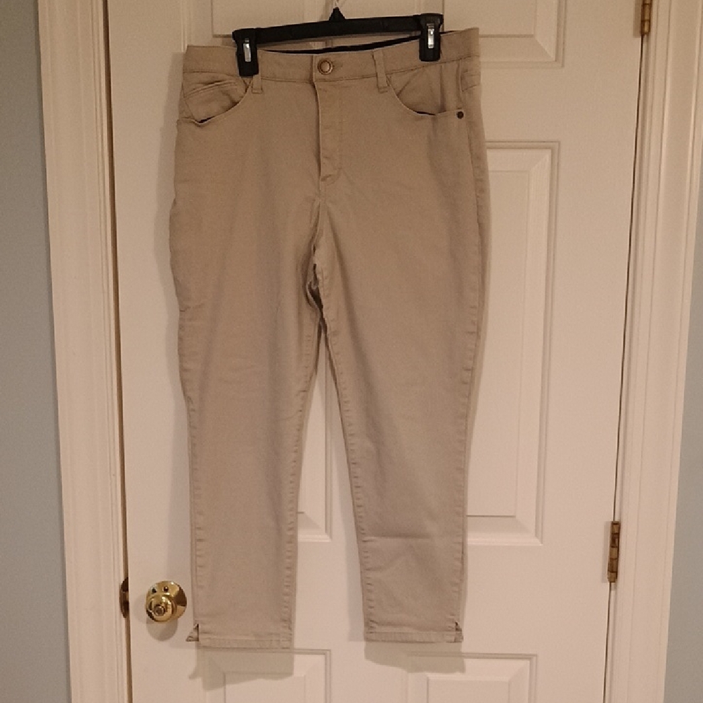 Wit & Wisdom Taupe Ankle Pants